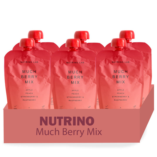 NUTRINO LAB FRUIT SNACK – apple, peach, strawberry, raspberry 6 x 200g