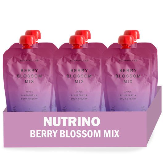 NUTRINO LAB FRUIT SNACK – apple, blueberry, sour cherry 6 x 200g