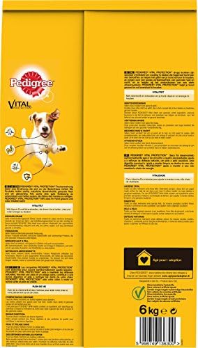 Pedigree Hondenvoer Volwassen Droog Hondenvoer Volwassen Mini Honden Verpakking van 1 x 6kg 