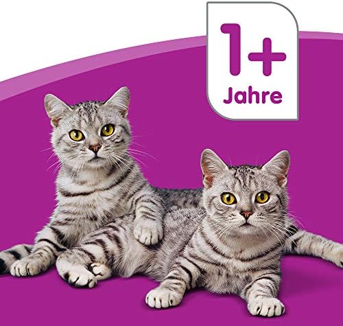 Afbeelding laden in Galerijviewer, whiskas Complete voeding voor volwassen katten - Dierenvoeding 
