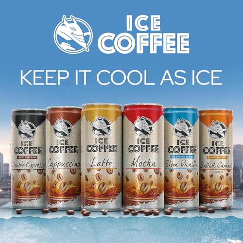 Load image into Gallery viewer, HELL Ice Coffee Cappuccino | 24 x 250 ml cans multipack | 40 mg/100 ml caffeine | contains real Arabica &amp; Robusta coffee bean extracts | 75% UHT milk | Preservative-free | Iced coffee |
