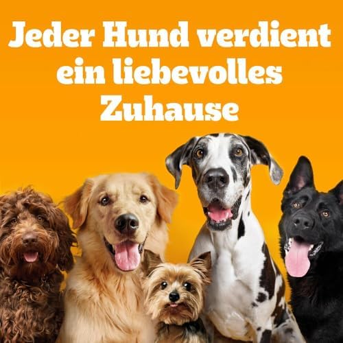 Afbeelding laden in Galerijviewer, Pedigree Adult Dog Food Vital Protection, 84 portiezakken, 84 x 100 g (1 bulkverpakking) – Nat hondenvoer in saus met kip, rundvlees, lam en kalkoen 
