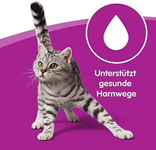 Afbeelding laden in Galerijviewer, whiskas Complete voeding voor volwassen katten - Dierenvoeding 
