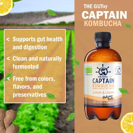 The Gutsy Captain Kombucha Kombucha Tea 12 x 400 ml Ginger Lemon
