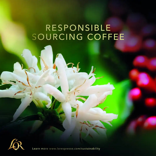 Maranello Espresso L'OR BUNDLE - 100CAPS.